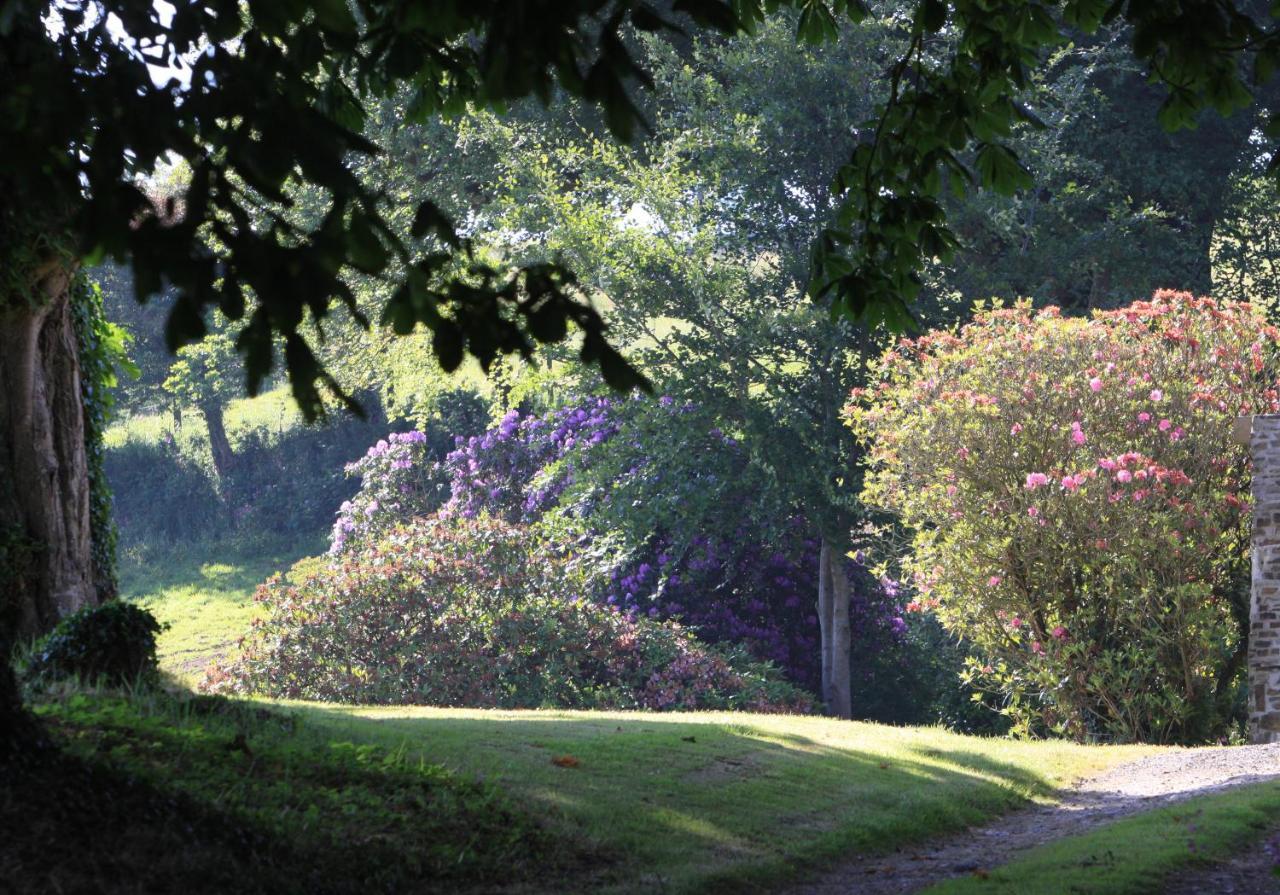 Devon Country Paradise Тависток Екстериор снимка