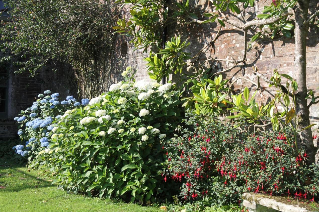 Devon Country Paradise Тависток Екстериор снимка