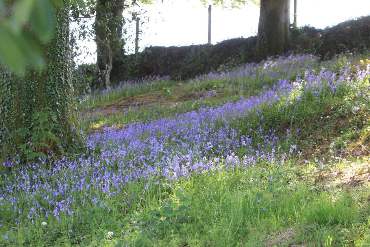 Devon Country Paradise Тависток Екстериор снимка